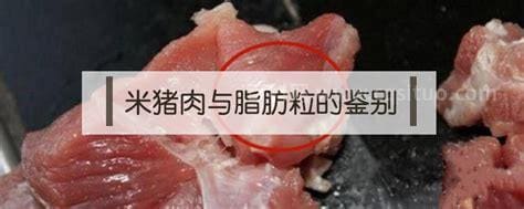 猪肉肥肉上面一粒一粒的什么情况