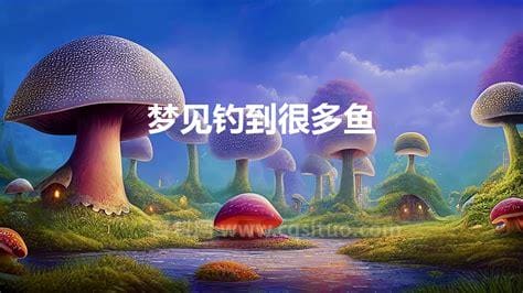 梦见我捞了很多鱼