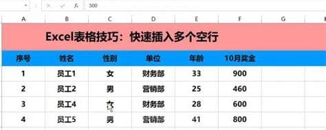 excel选中某一行至最后一行