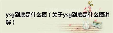 ysg到底是什么梗？