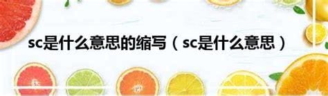 sc是什么意思？