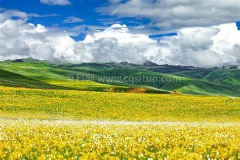 草原旅游去哪里好？草原旅游胜地有哪些？