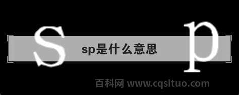 sp是什么意思