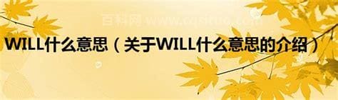 will什么意思