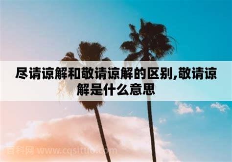 尽请谅解和敬请谅解的区别