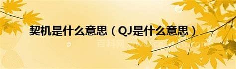 qj是什么意思