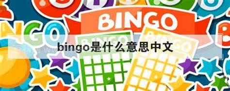 bingo是什么意思中文