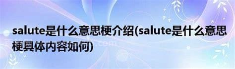 salute是什么意思？