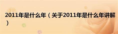 2011年是什么年