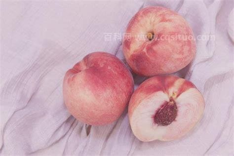 peach是什么意思