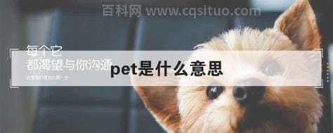 pet是什么意思