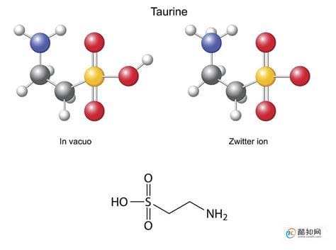 牛磺酸对人体的作用与副作用