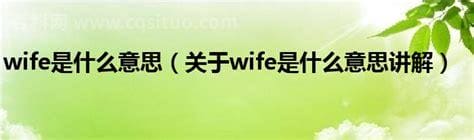 wife是什么意思