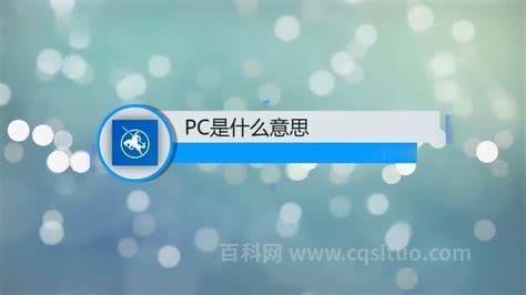 pc版是什么意思