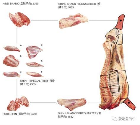 牛腱子肉是哪个部位