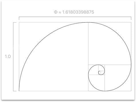 黄金比例怎么算？