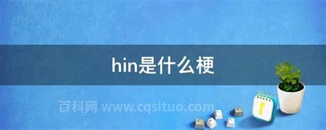 hin是什么梗？