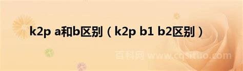 k2p,b1,b2区别