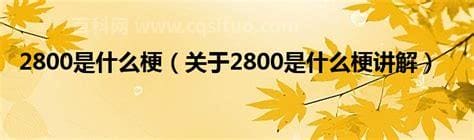 2800是什么梗？