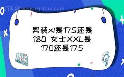 xl是175还是180？