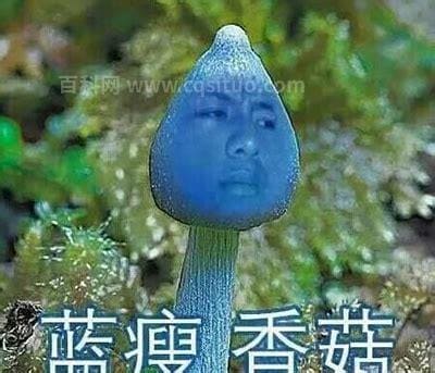 蓝瘦香菇什么意思