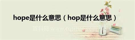 hope是什么意思