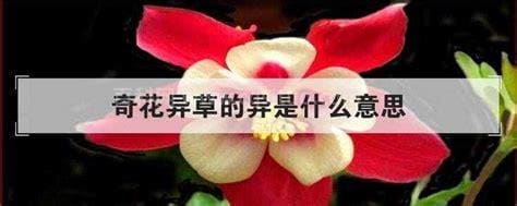 奇花异草的异是什么意思