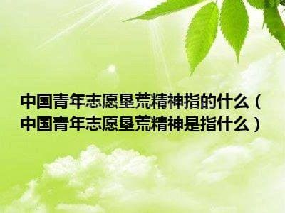 垦荒精神是什么