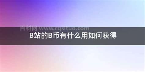 b币有什么用