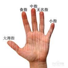 左手食指是哪个手指