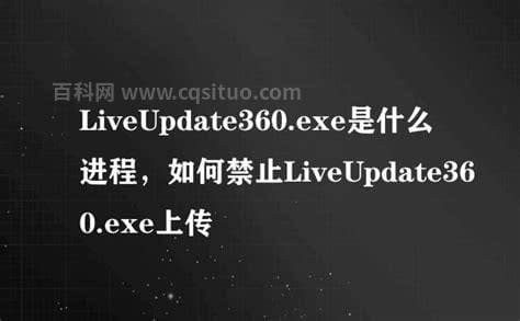 liveupdate360.exe进程是什么