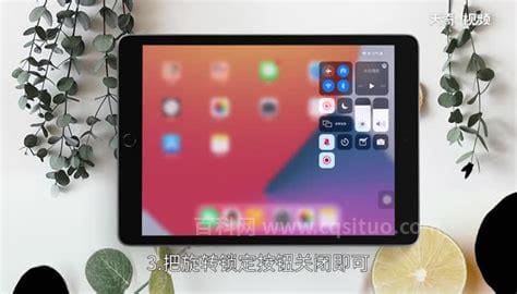 ipad里的屏幕自动旋转在哪里设置