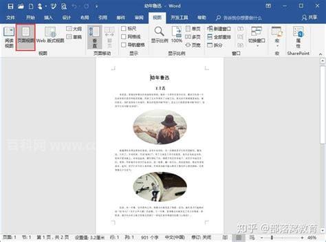 word页面视图视图和web视图的区别