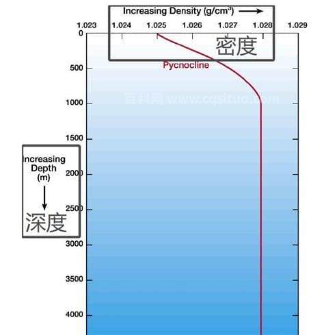 海水的密度与温度和盐度的关系(海水缸中水质的一般参数)