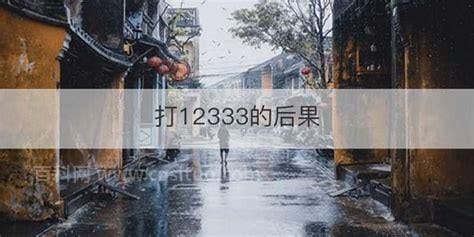 打12333的后果