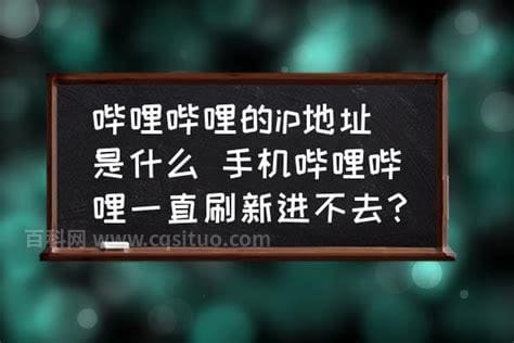 哔哩哔哩的ip地址是什么