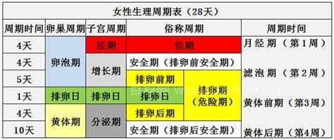 一周期是多少天怎么算