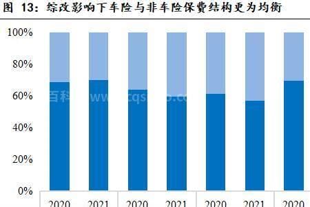 保险nbv什么意思