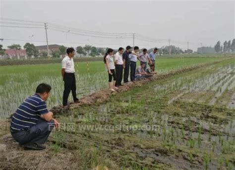 广东分田到户是什么时候开始的