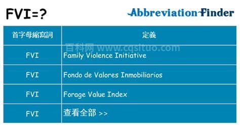 fvi是什么职位