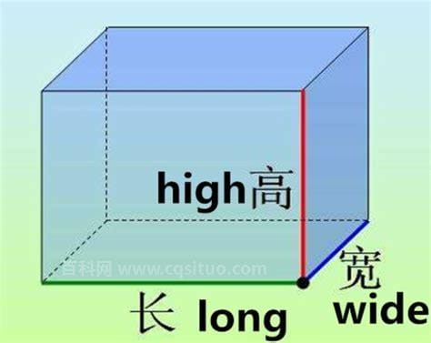 长x宽x高用字母表示