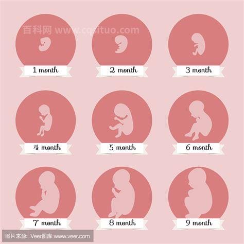 婴儿从出生到一岁的成长过程