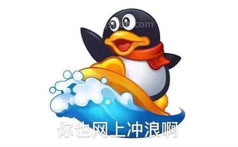 网上冲浪什么梗