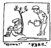 植树与乘凉漫画作文400字