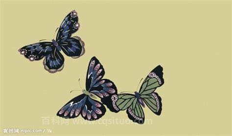 蝴蝶的寓意和象征
