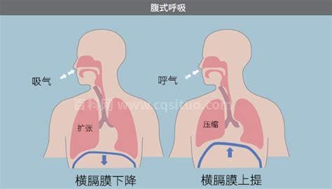 别让腹式呼吸害了你