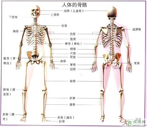 鬼附在人体的哪个部位