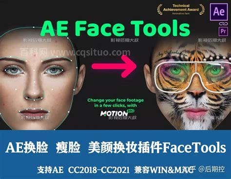 最新AE换脸瘦脸美颜换妆插件FaceTools（最新AE换脸瘦脸美颜换妆插件FaceTools）