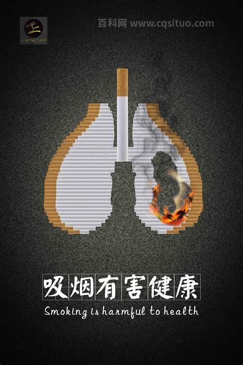 吸烟有害健康的资料（吸烟危害健康简介）