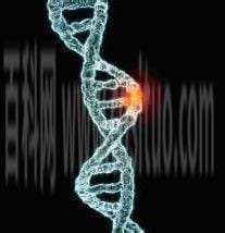 什么是基因突变？